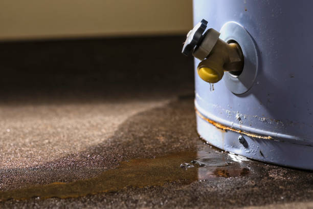 Best Sewage cleanup and water damage restoration  in Highlandville, MO