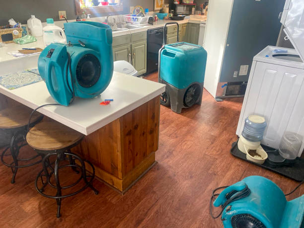 Best Flooded house restoration  in Highlandville, MO