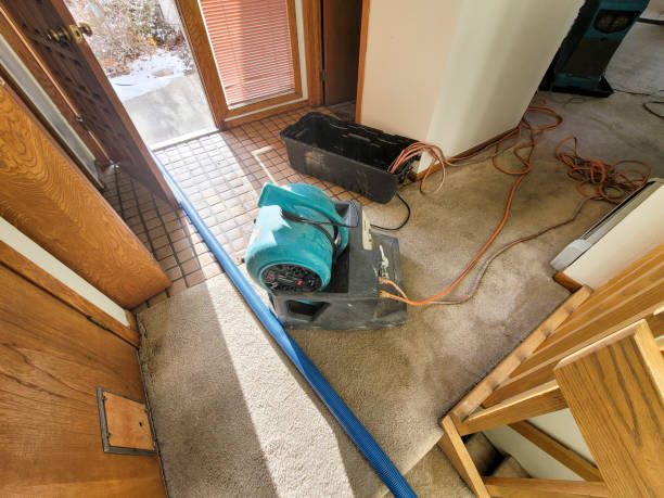 Carpet water damage restoration in Highlandville, MO