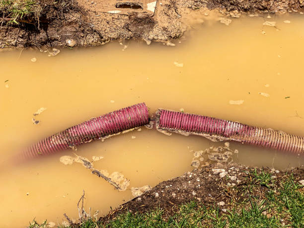 Best Emergency water damage restoration  in Highlandville, MO